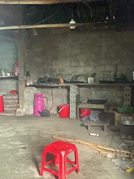 naalyy (F young) - 500