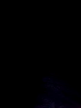 Jarektchurzewski webcam