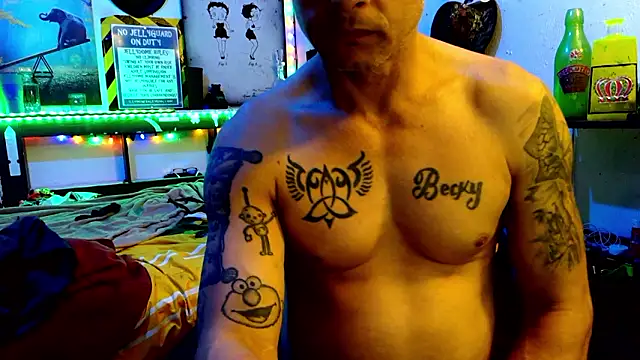 Buffshagswell webcam