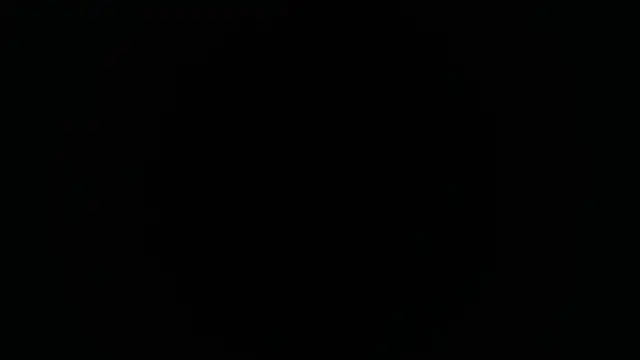 Couple_wildd_ webcam