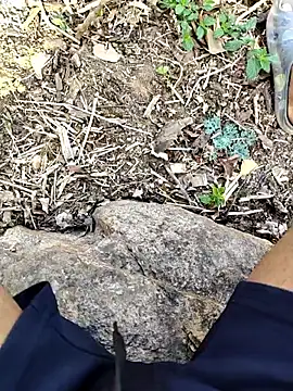 desi_alpha_boy webcam