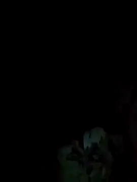 HapinessLovee webcam