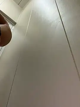 美女LaudingElastase在线直播