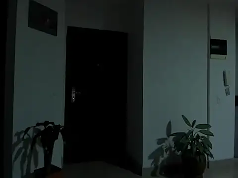 Alexander_Martines webcam