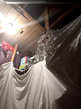 BulbasaurIsmettv webcam