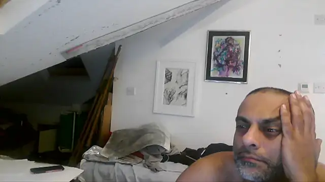 mista_sista_fista webcam