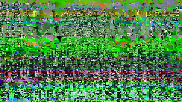 -ethan7inches- webcam