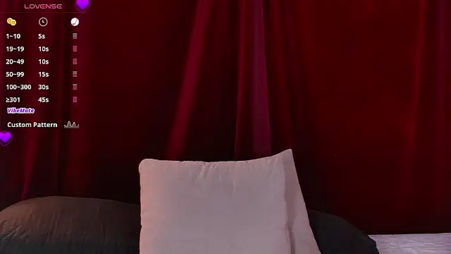 VicenteFerrer webcam