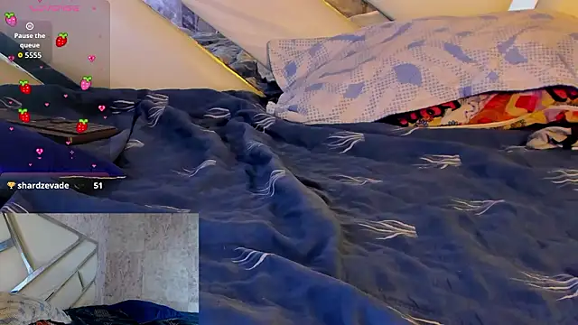 Benny_and_Mark webcam