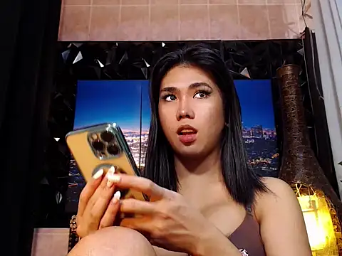 TRANSPORNIDOL webcam