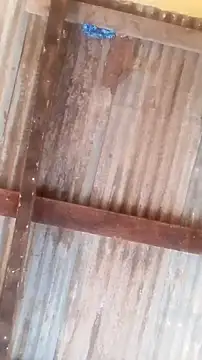 hornyass_bitch (M young) - New apartment