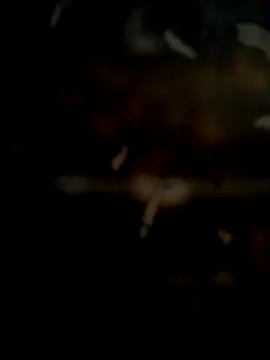 cockforpussy1508 (Ask my age) - Full nude show