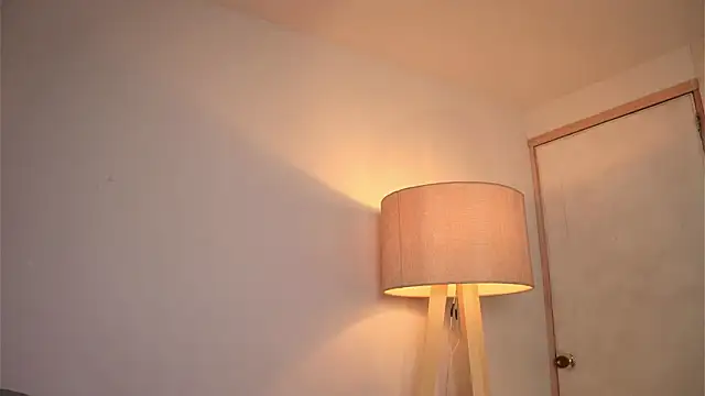 ashleyvalirya webcam