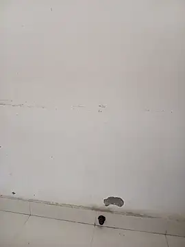 Sarita-school webcam