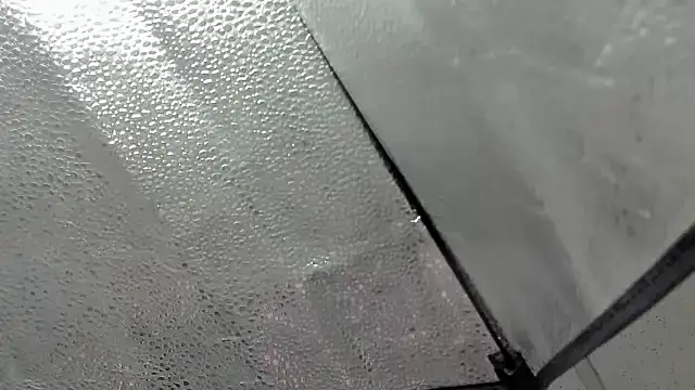 aisha_hotts777 (G young) - lush control 10 minutes