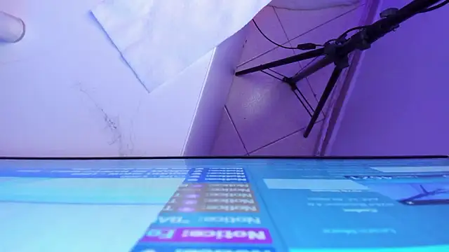 Roxanedewalle webcam