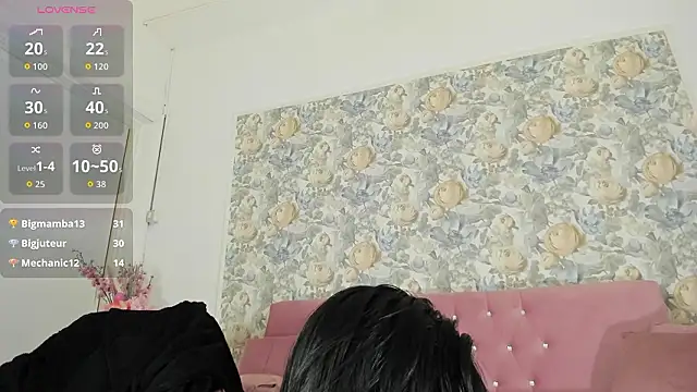 illegal_lorry webcam