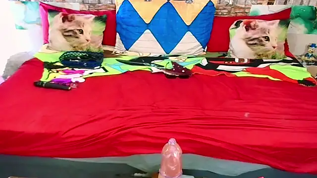 Indian_Blaze00 webcam