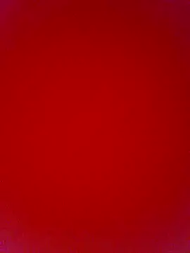 kanika05 (F young) - #big-ass #big-ass-big-tits #big-ass-doggy-style #big-ass-indian #big-ass-young #big-nipples #big-tits #big-tits-blowjob #big-tits-doggy-style #big-tits-hairy #big-tits-handjob #big-tits-indian #big-tits-young #black-hair #black-hair-young #blowjob #bukkake #cam2cam #camel-toe #cheapest-privates #cheapest-privates-indian #cheapest-privates-young #cowgirl #dirty-talk #doggy-style #fingering #fingering-indian #fingering-young #hairy #hairy-young #handjob #hd #hindi #indian #indian-young #jeans #medium #mobile #mobile-young #new #new-black-hair #new-cheapest-privates #new-indian #new-mobile #new-young #romantic #romantic-indian #romantic-young #sexting #small-audience #spanking #straight #young