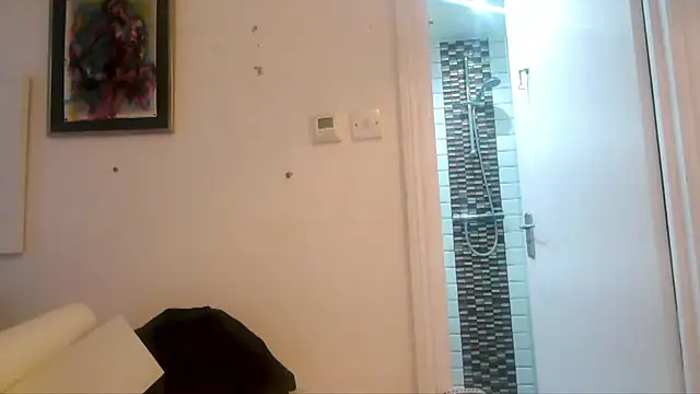 mista_sista_fista webcam