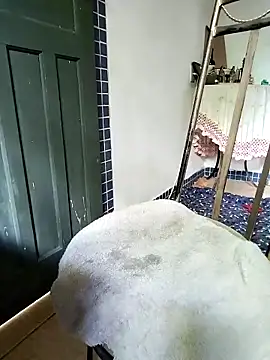 gatodepauduro webcam