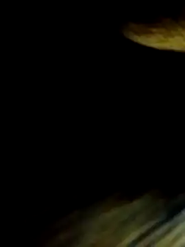 rs_sonam (F mature) - #anal #anal-doggy-style #anal-fingering #anal-indian #anal-mature #anal-petite #bisexuals #cam2cam #cheapest-privates #cheapest-privates-indian #cheapest-privates-mature #doggy-style #fingering #fingering-indian #hd #indian #mature #mobile #mobile-mature #most-affordable-cam2cam #petite #petite-indian #petite-mature