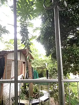 Jestebandiaz07 webcam