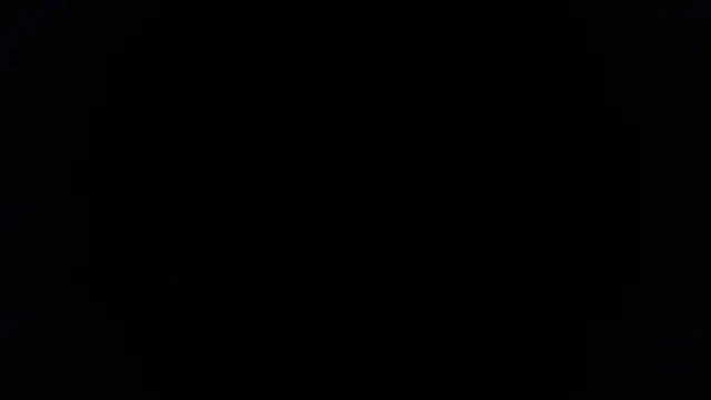 palidin1 (Ask my age) - 2000