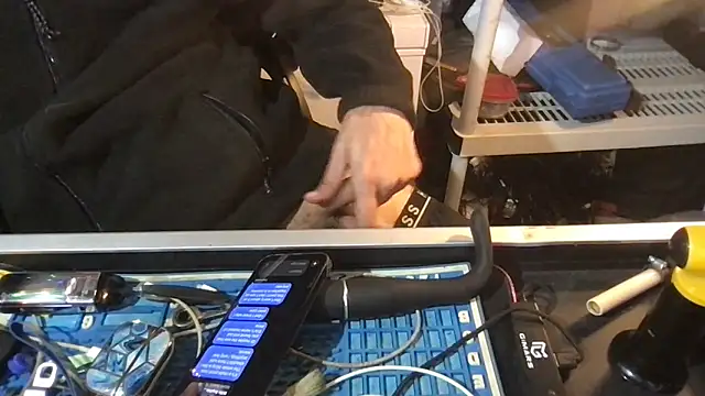 SinlessFreedom7 webcam