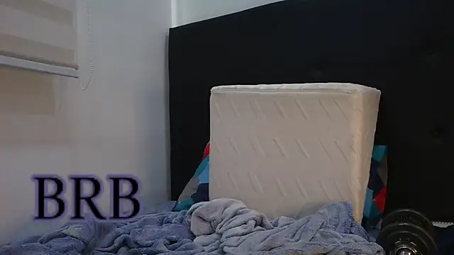 Predator_Shark webcam