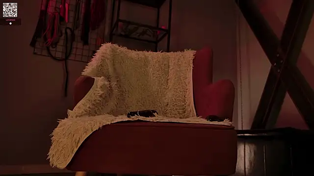 VortexProject webcam