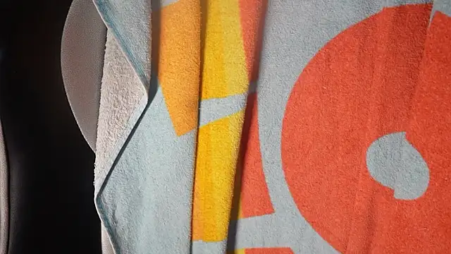 -AyeshaSinghania- webcam