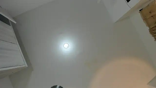 harvey_leclerc webcam