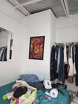 Kingbigcock23cm webcam