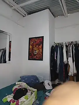 Kingbigcock23cm webcam