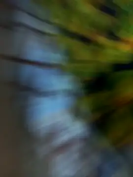 kaptonko (M young) - Cum