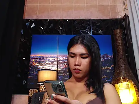 TRANSPORNIDOL webcam