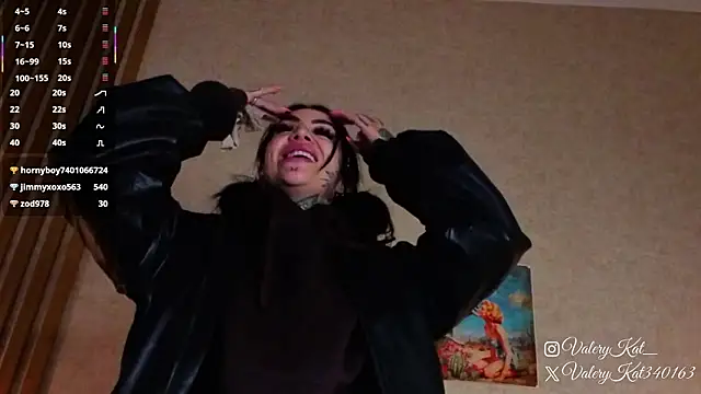 Valerykat_ webcam
