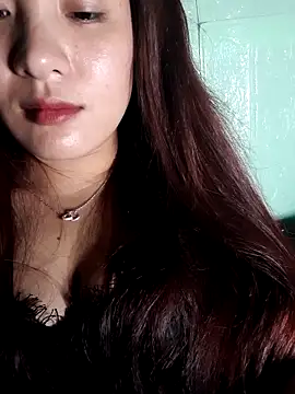 Linksys_nicee webcam