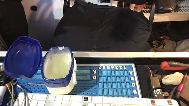 SinlessFreedom7 webcam