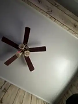 A_Random_Dick webcam