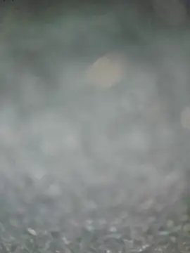 roddog18 (Ask my age) - Cum in the car