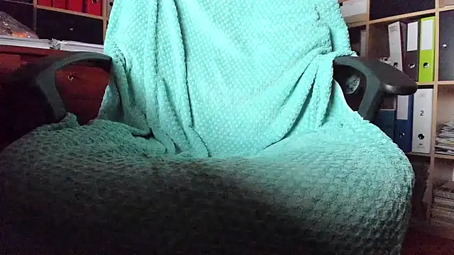 leccaleccafiga webcam