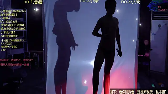 didilaile2026 webcam