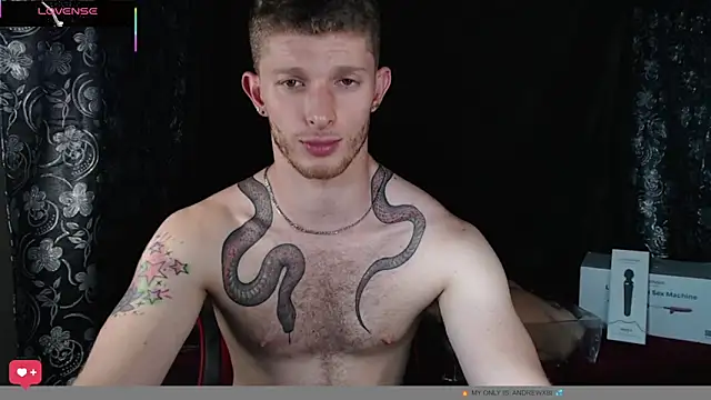 andrewxbi webcam