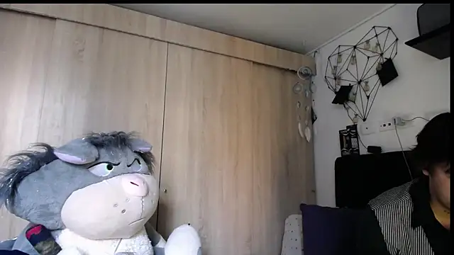 Santiago_kiler webcam