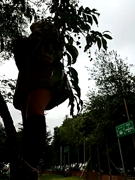 Cata_city1106 webcam