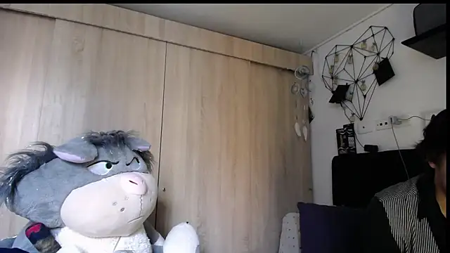 Santiago_kiler webcam