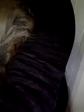 Webcam Model (cleo094) is live