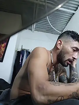 Kingbigcock23cm webcam